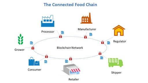 Blockchain for Critical Agricultural Data: A Practical Guide