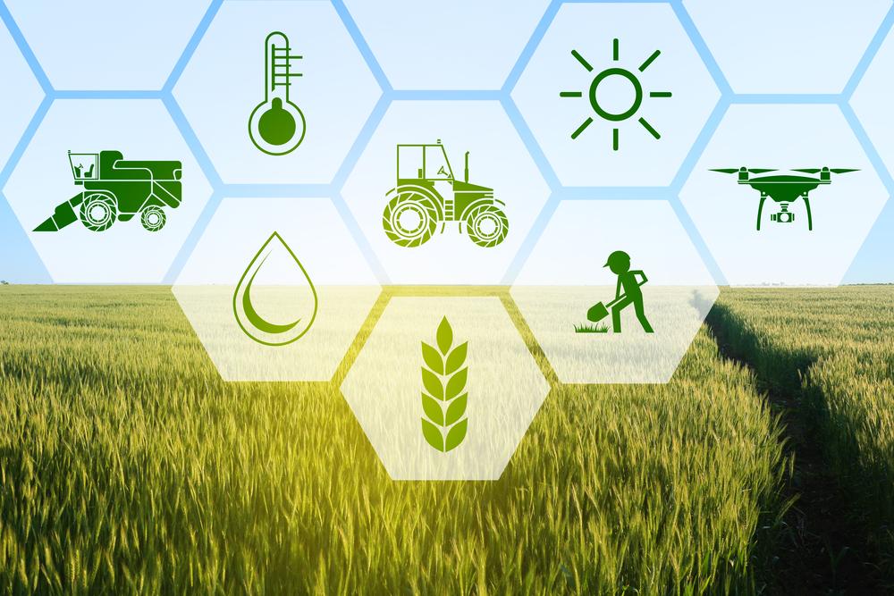 Data-Driven Insights and Interconnectivity: Optimizing Decision-Making in the Food Supply Chain