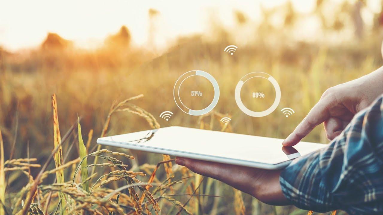 Reaping Digital Harvests: IT Integration for Enhancing Supply Chain Transparency and Food Safety in Agriculture