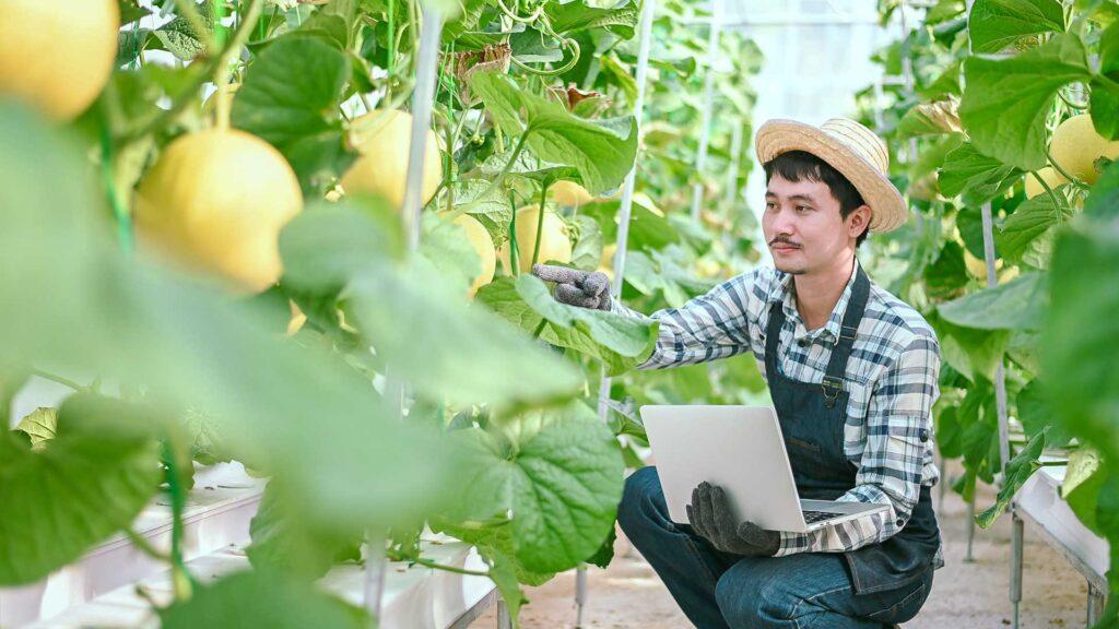 The FSMA 204 Impact on Food Producers’ Companies and Operations