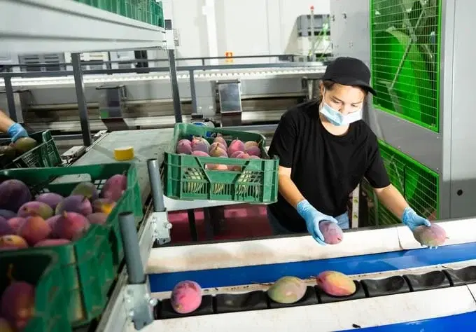 The Shortcomings of FSMA 204 in Protecting Food Producers’ Brand Reputation