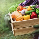 10 Ways Blockchain Enhances Food Tracking and Traceability in the Agriculture Supply Chain
