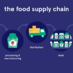 Unleashing the Power of Real-Time Data: The Key to Food Supply Chain Efficiency
